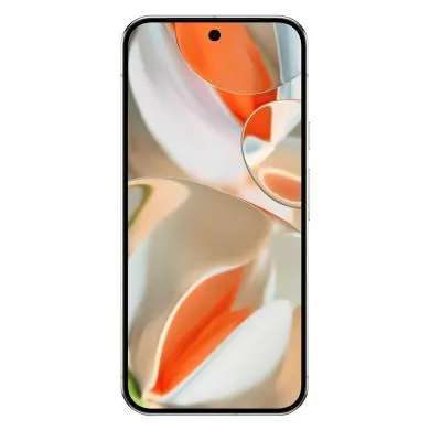 Google Pixel 9 Pro XL 256GB porcelain
