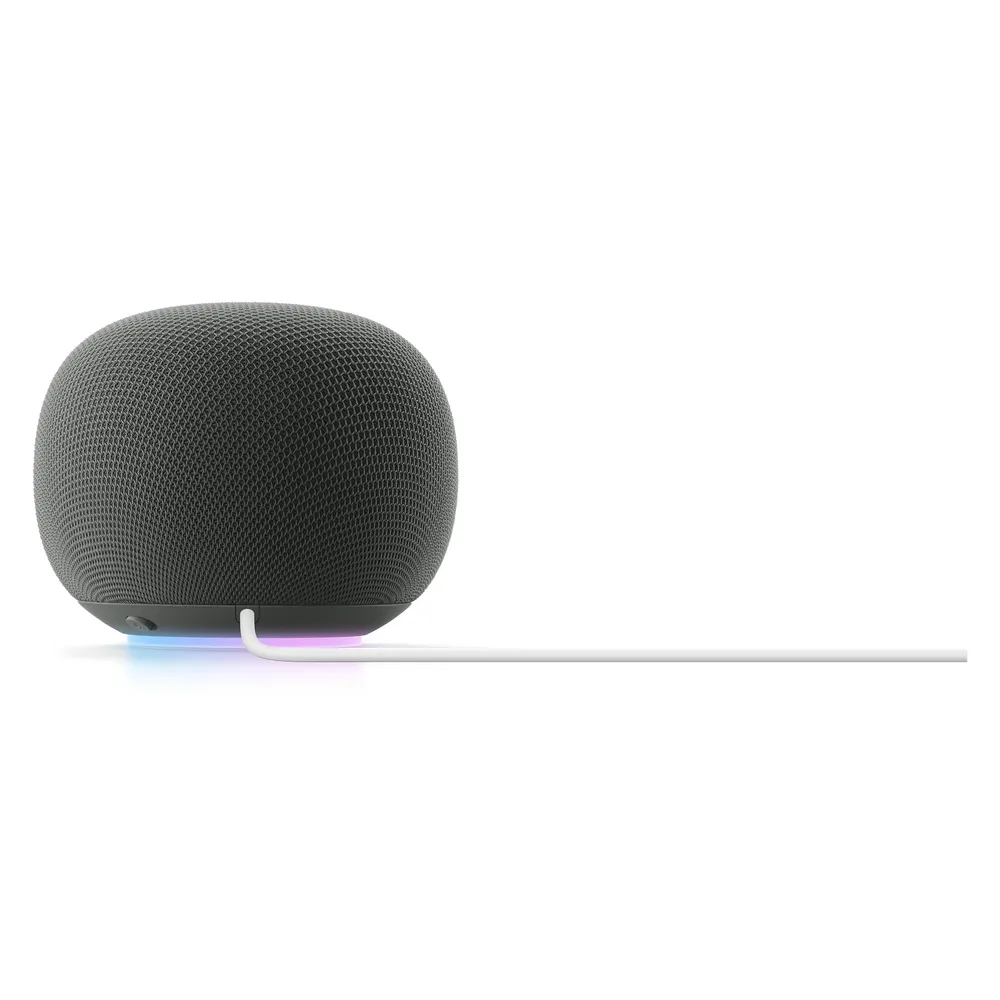 Lautsprecher Google Home Oval Wi-Fi 6 30W mit Bluetooth und Sprachsteuerung