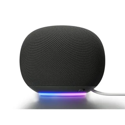 Lautsprecher Google Home Oval Wi-Fi 6 30W mit Bluetooth und Sprachsteuerung