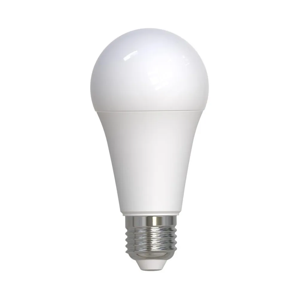 LED-Lampe, E27, 1521lm ersetzt 100W, Birne A60, matt, Neutralweiß, 2 Stück (00232501)