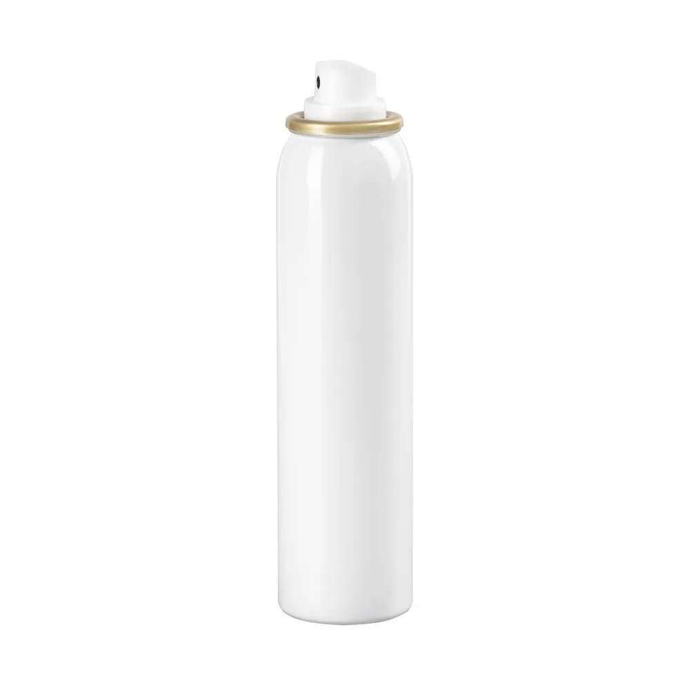 Desinfektionsmittel für Smartphone, 100 ml (00113823)