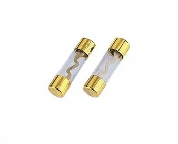Glassicherungen, 60A, AGU, 2 Stück (00042619)