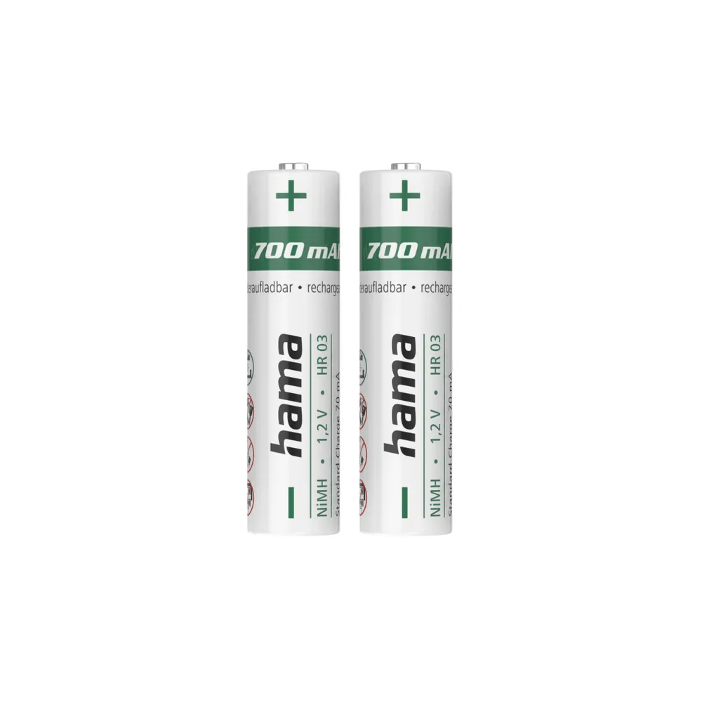 NiMH-Akkus, AAA Micro, 700 mAh 1,2V, 2 Stück (00223525)