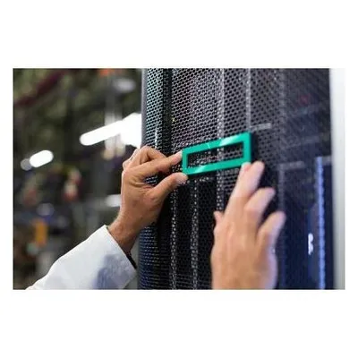 Zusatzlüfter Hewlett Packard Enterprise ML110 Gen11 264x394x111 mm 1500 g