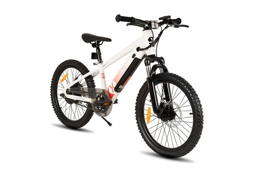 HILAND E-Bike 20 Zoll E-Mountainbike 24V 250W, Akku entnehmbar, Kinder & Erwachsene, Heckmotor, 124,8 Wh