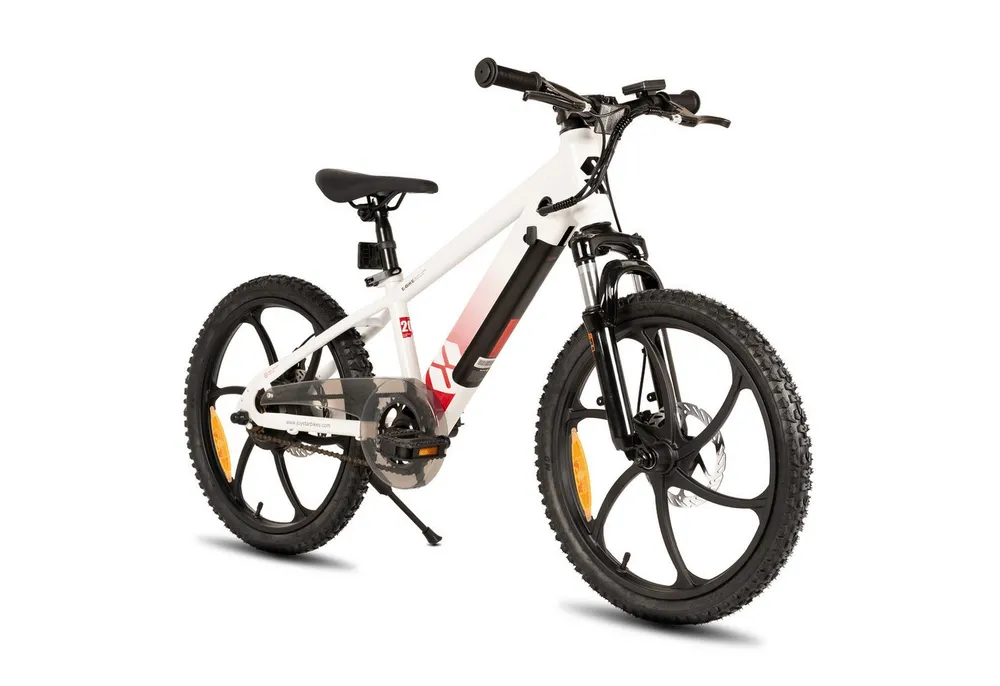 HILAND E-Bike E-Mountainbike 20 Zoll 24V 250W, Einheitsreifen & entnehmbarer Akku, Heckmotor, 124,8 Wh