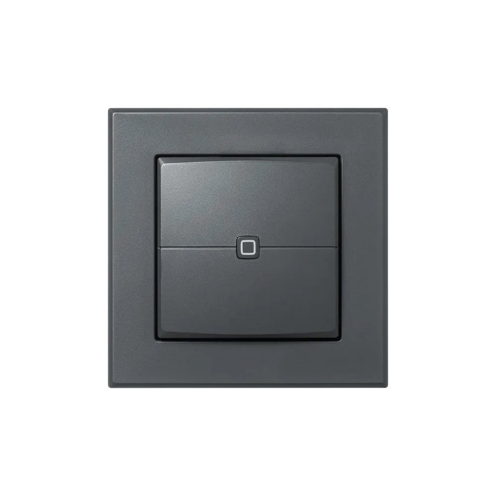Homematic IP Wandtaster 2-fach - Anthrazit