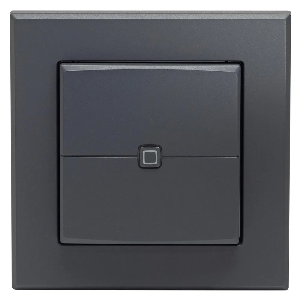 Homematic IP Wandtaster 2-fach - Anthrazit