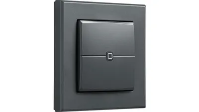 Homematic IP Wired Smart Home Wandtaster – 2-fach, anthrazit, HmIPW-WRC2-A
