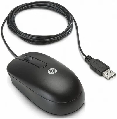 HP  Maus | 672652-001 | optisch - kabelgebunden