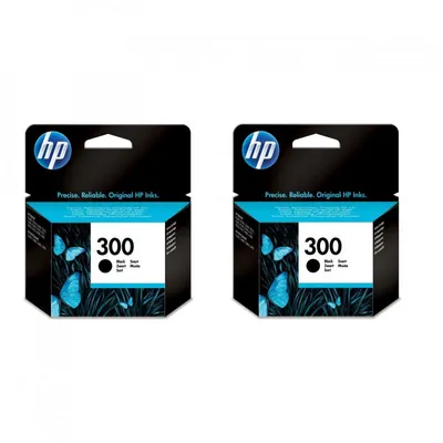 Original Tintenpatronenpaket 2x HP 300 Schwarz