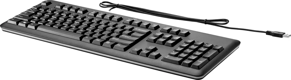 HP USB-Tastatur für PC | qy776aa#abd | Volle Größe (100%) - Kabelgebunden