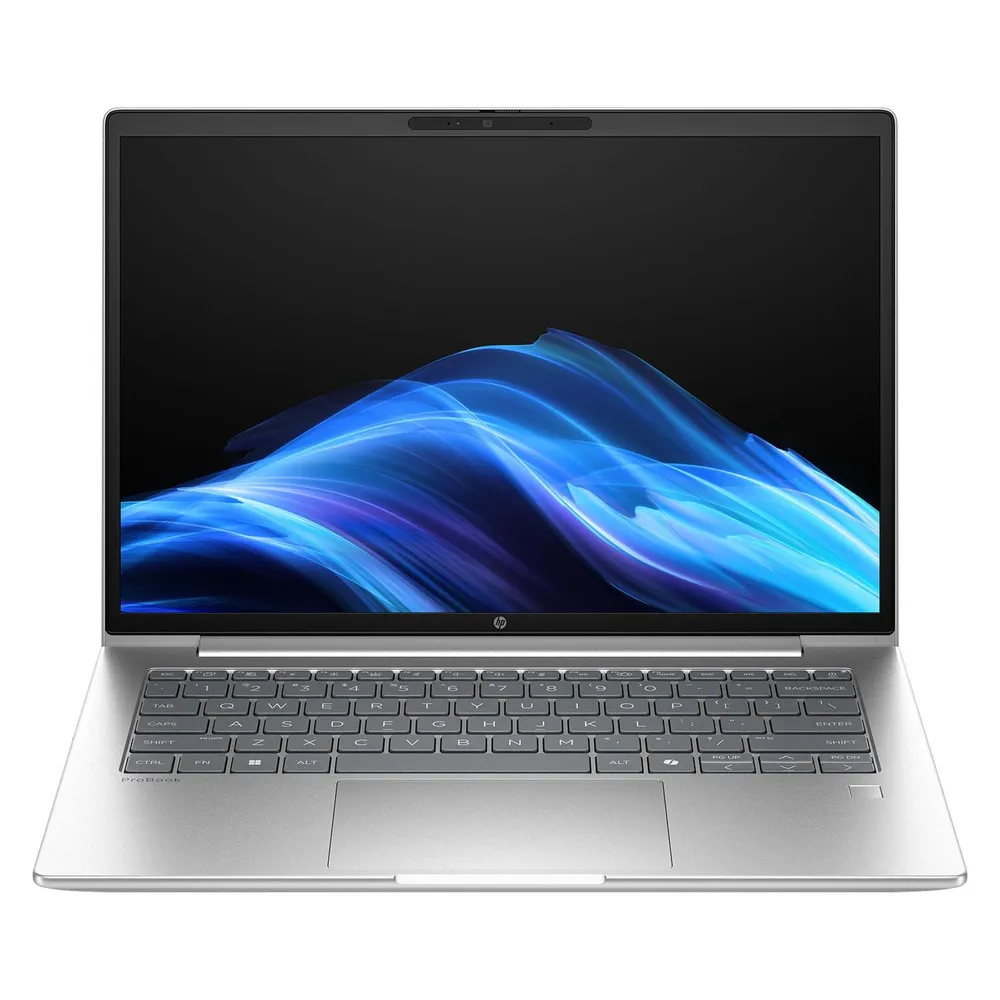 HP ProBook 4 G1a 14 (14", 1000 GB, 64 GB, DE, AMD Ryzen 7 250)