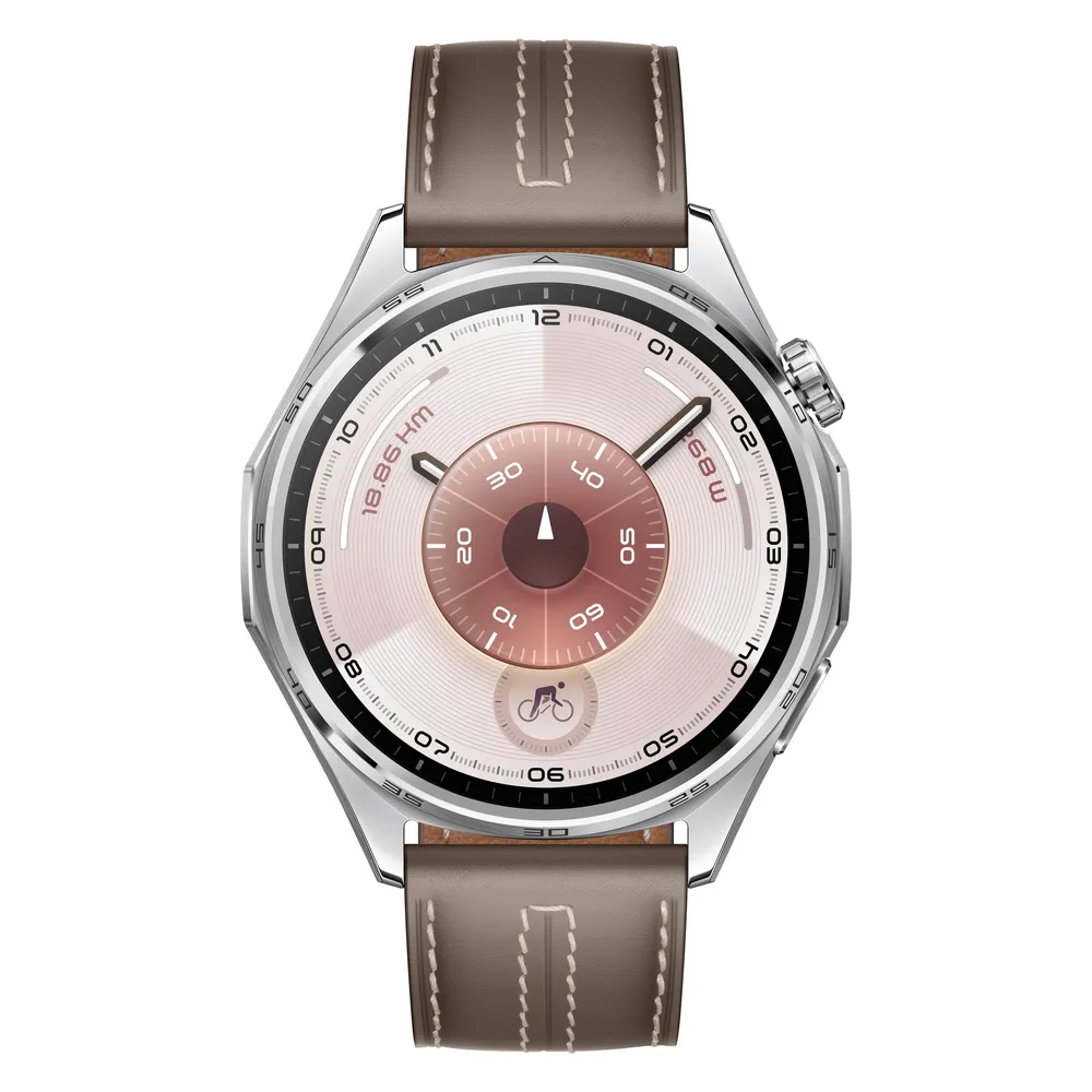 Huawei Watch GT6 Bluetooth GPS NFC 46mm AMOLED Edelstahl Braun M SpO2 Schlaftracking