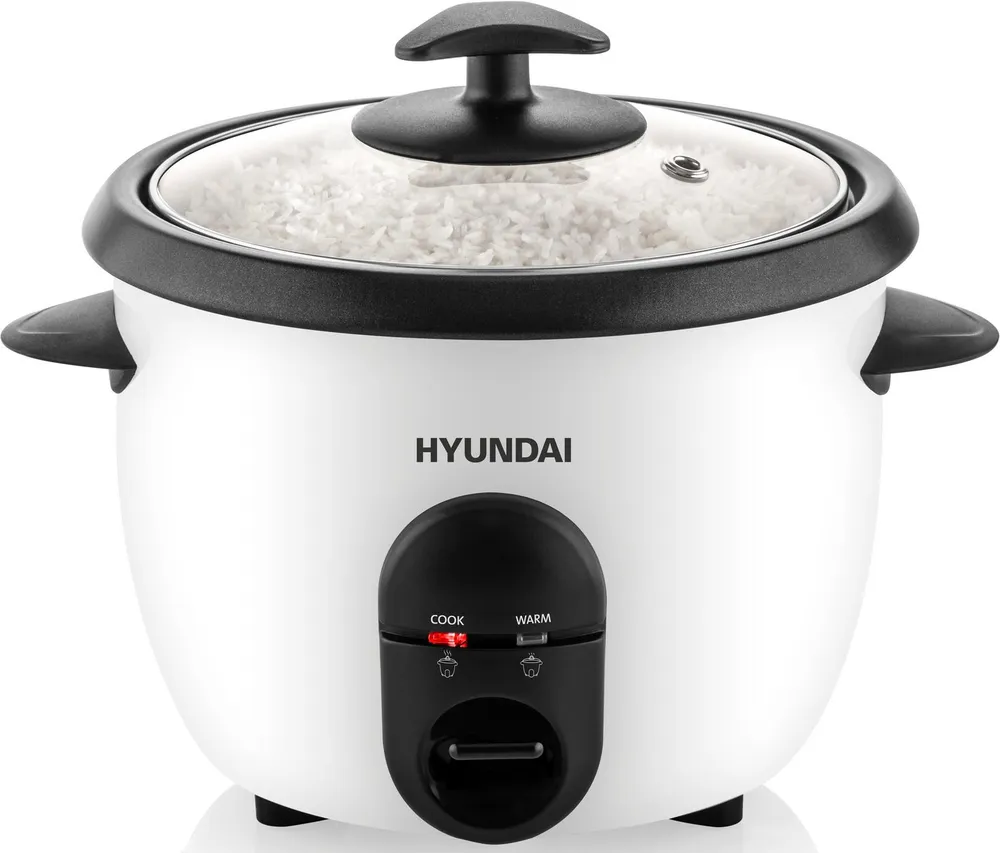 Hyundai Reiskocher HYURC100, 365 W