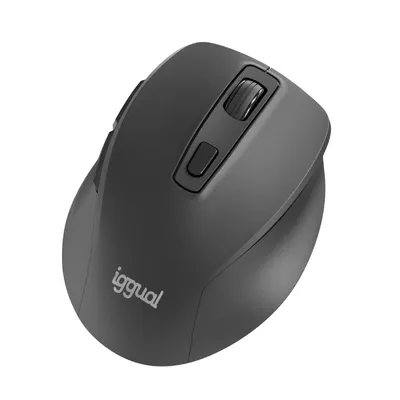 Ratón IGGUAL ERGO-SILENT-6D Kabellos 1600 DPI Schwarz 6 Tasten Leise