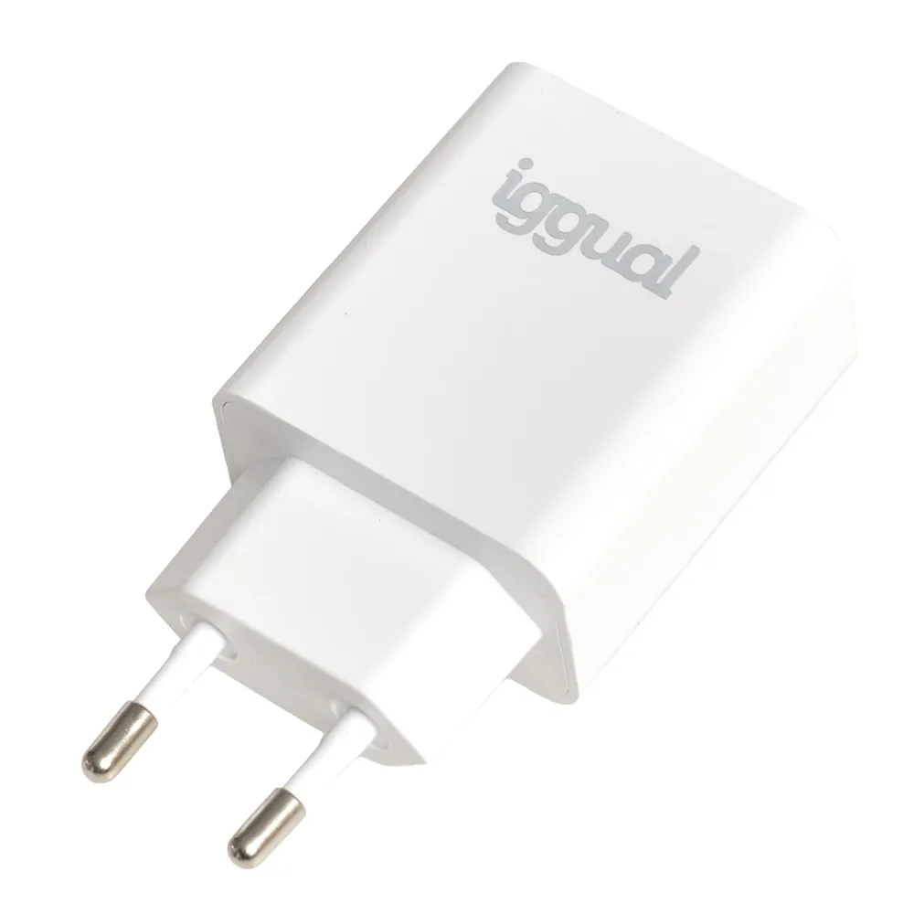 Ladegerät USB PD Typ C 20W IGGUAL Innen Weiß