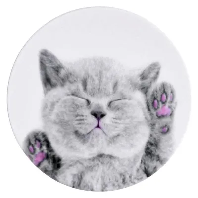 iLike Universal Pop Holder Cat