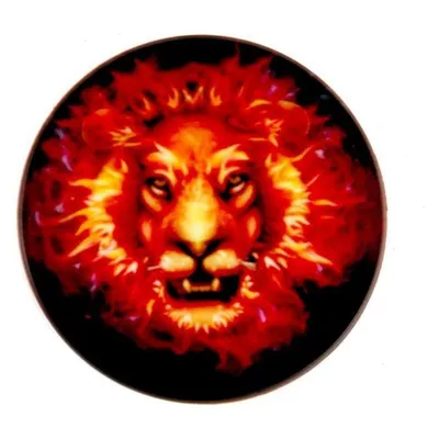 iLike Universal Pop Holder Fire Lion