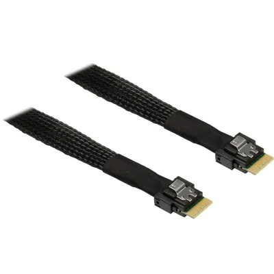 SAS Kabel Intertech SFF-8654 4i 70 cm Schwarz Hochgeschwindigkeit