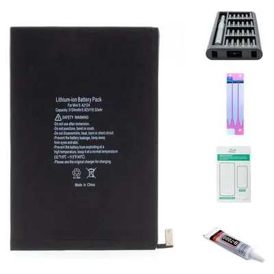 Kaputt.de iPad mini 5 Akku - Premium-Set