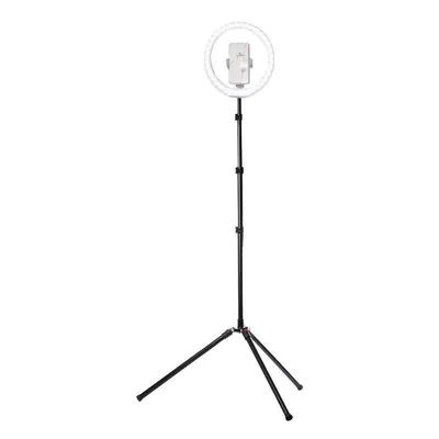 Lichtstativ K&F CONCEPT Aluminium Höhe 1,4–2,3 m Schnellverschluss