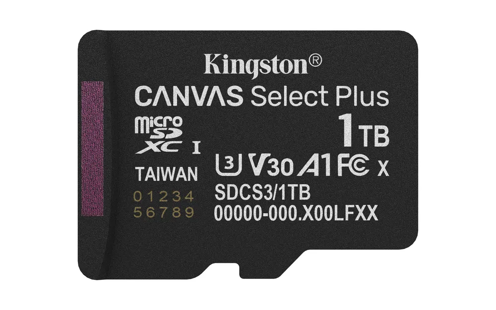 Kingston Canvas Select Plus | sdcs3/1tbsp | Flash-Speicherkarte