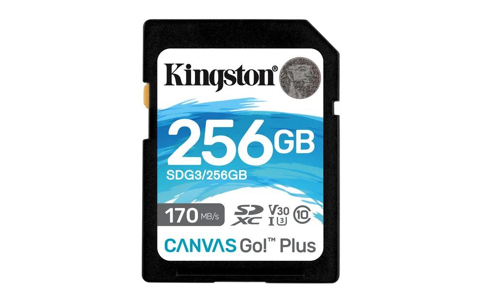 Kingston Canvas Go! Plus | sdg3/256gb | Flash-Speicherkarte