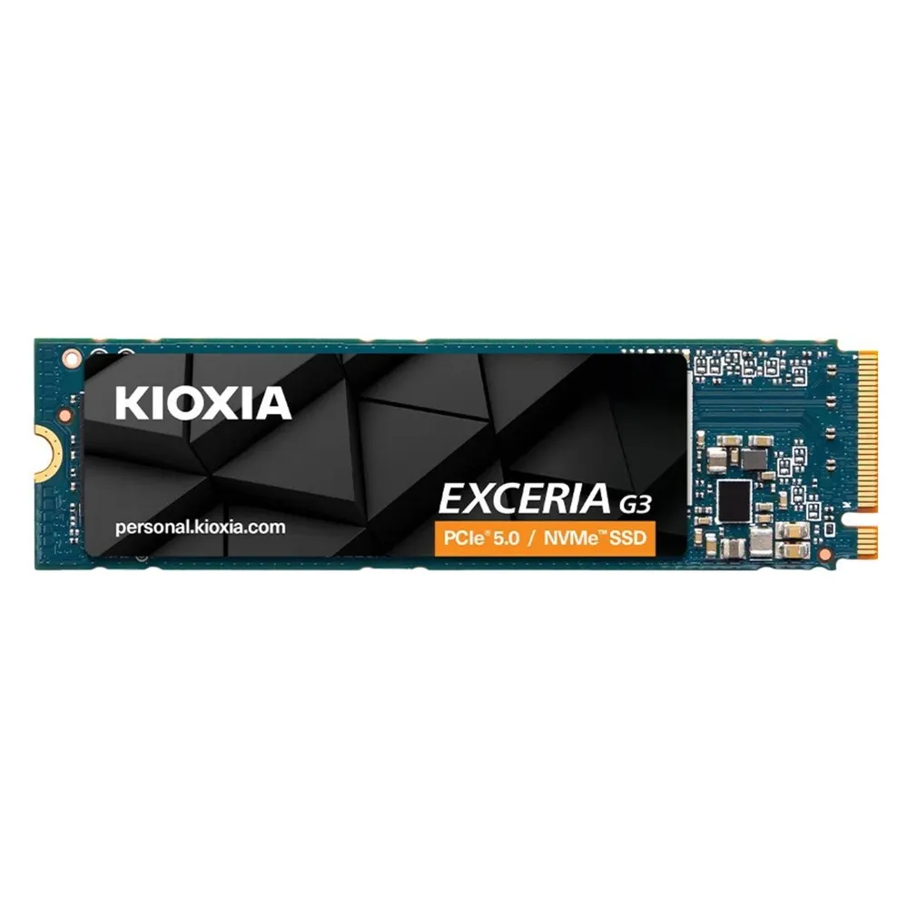 Kioxia Exceria G3 (1000 GB, M.2 2280)
