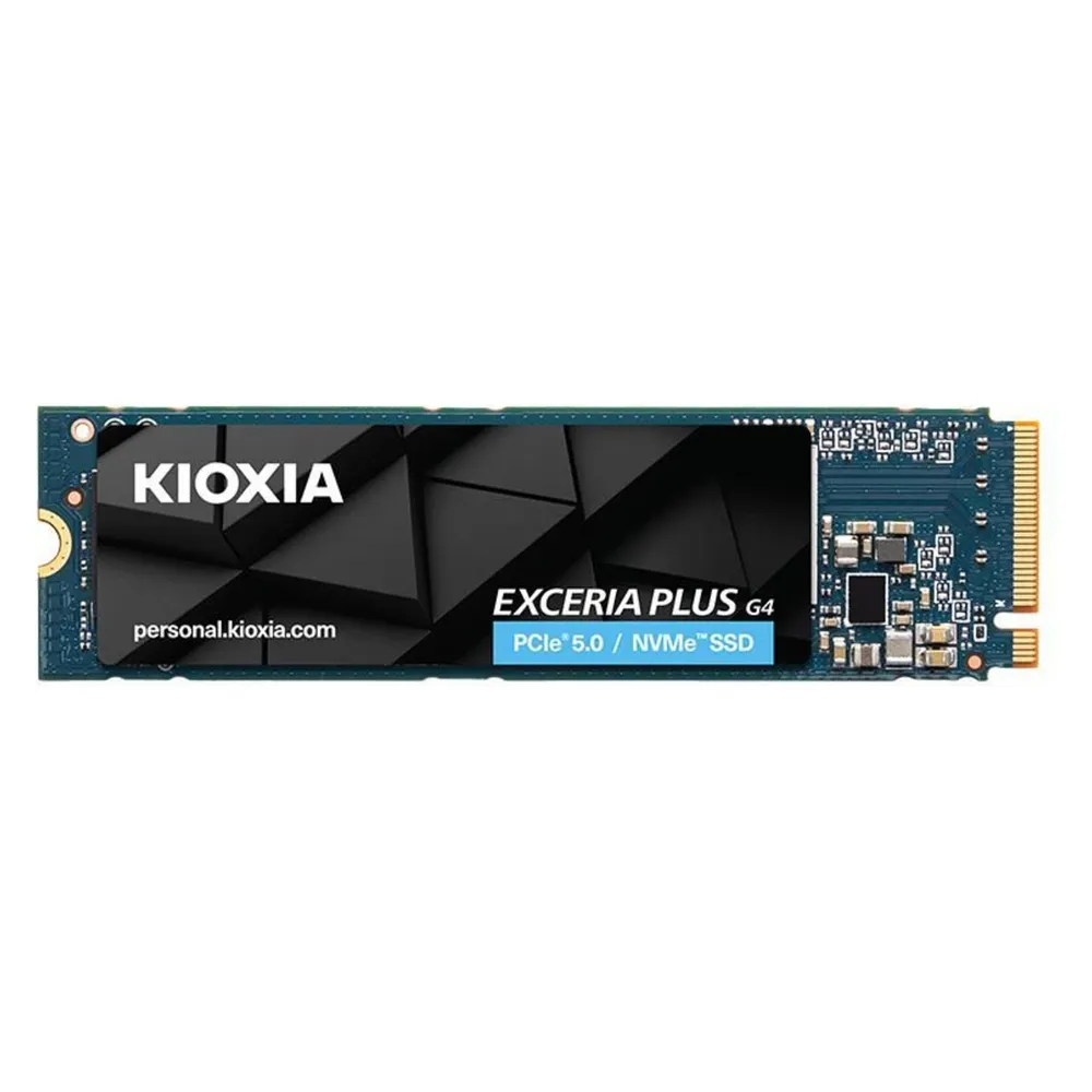 Kioxia Exceria Plus G4 (1000 GB, M.2, M.2 2280)