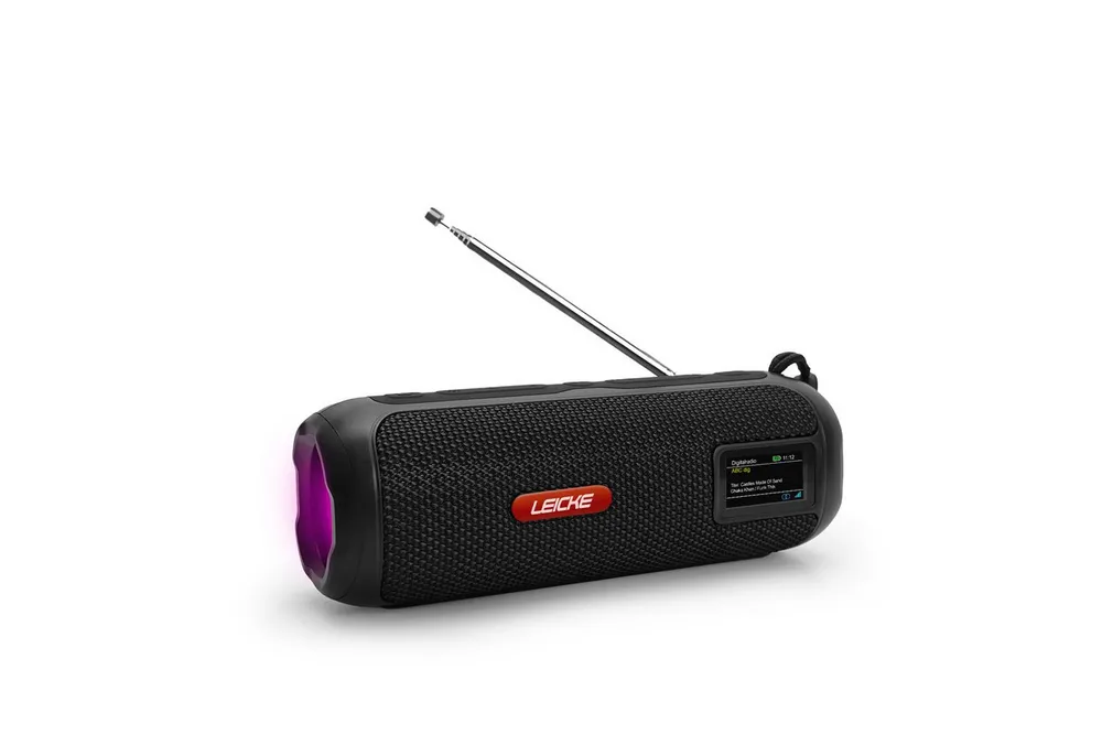 Leicke Tragbarer Bluetooth Lautsprecher mit FM/ Digitalradio (DAB) (4500mAh Akku, RGB-LED Lichter, 10W Stereo-Sound,Equalizer)