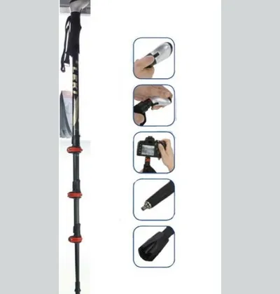 LEKI Trekking Stock Photosystem FS Carbon