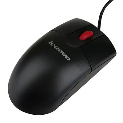 Ratón Lenovo 06P4069 USB 400DPI Schwarz Ambidextrisch 3 Tasten Kabel