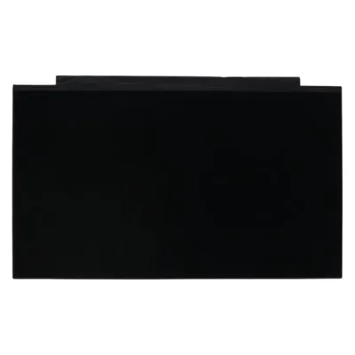 Lenovo DISPLAY FRU AUO B156HTN06.2