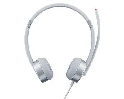 Lenovo 100 Stereo Analog Headset kabelgebunden Jack Silber Büro
