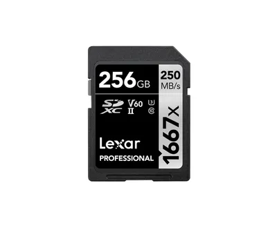 Lexar Professional | lsd256cb1667 | Flash-Speicherkarte - 256 GB