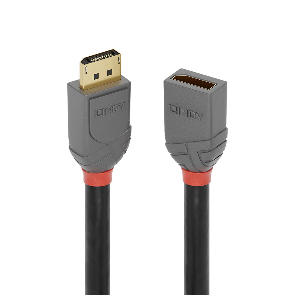 DisplayPort 1.4 Kabel Lindy 1 m Schwarz