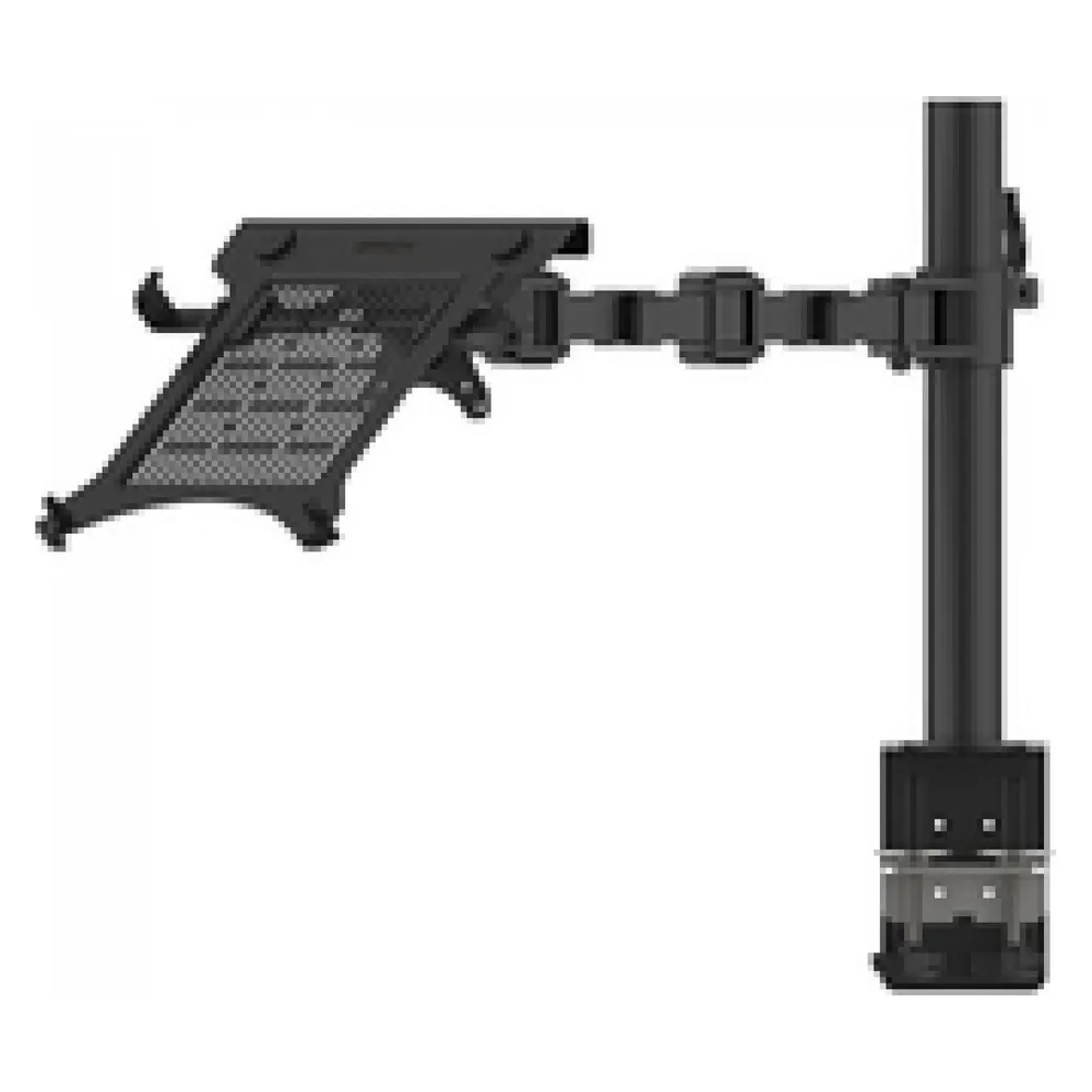 Lindy Laptop/Notebook Display Arm