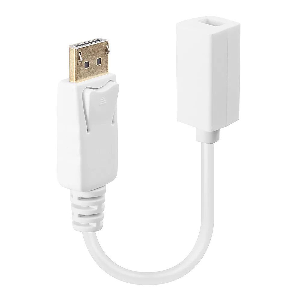 Lindy DisplayPort auf Mini DisplayPort Videoadapter 0,15 m