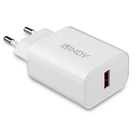 Ladegerät Lindy 73412 18W 12V Schnellladung Innen Außen
