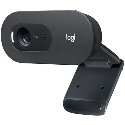Logitech C505 HD Webcam 1280 x 720 Pixel USB Schwarz