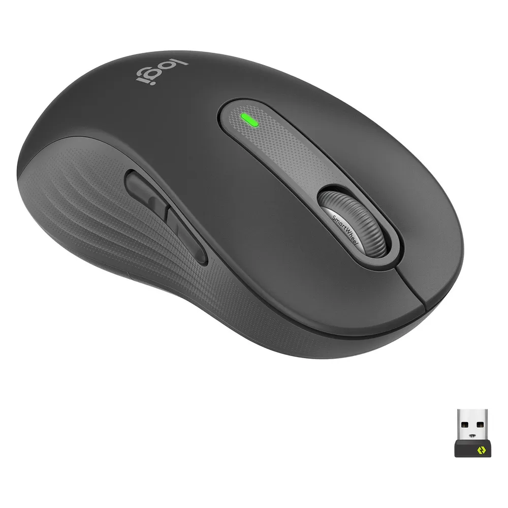 Signature M650 L Wireless graphit Maus