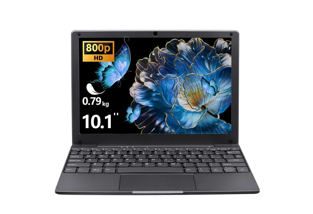 LONGEVINCE 10,1 Zoll Mini Laptop, 8GB RAM Notebook (25,6 cm/10.1 Zoll, Intel Celeron N4000, Intel HD Graphics 600, 8 GB, 256 GB SSD, Ultradünnes Design, Windows 11 Pro, inklusive Maus)