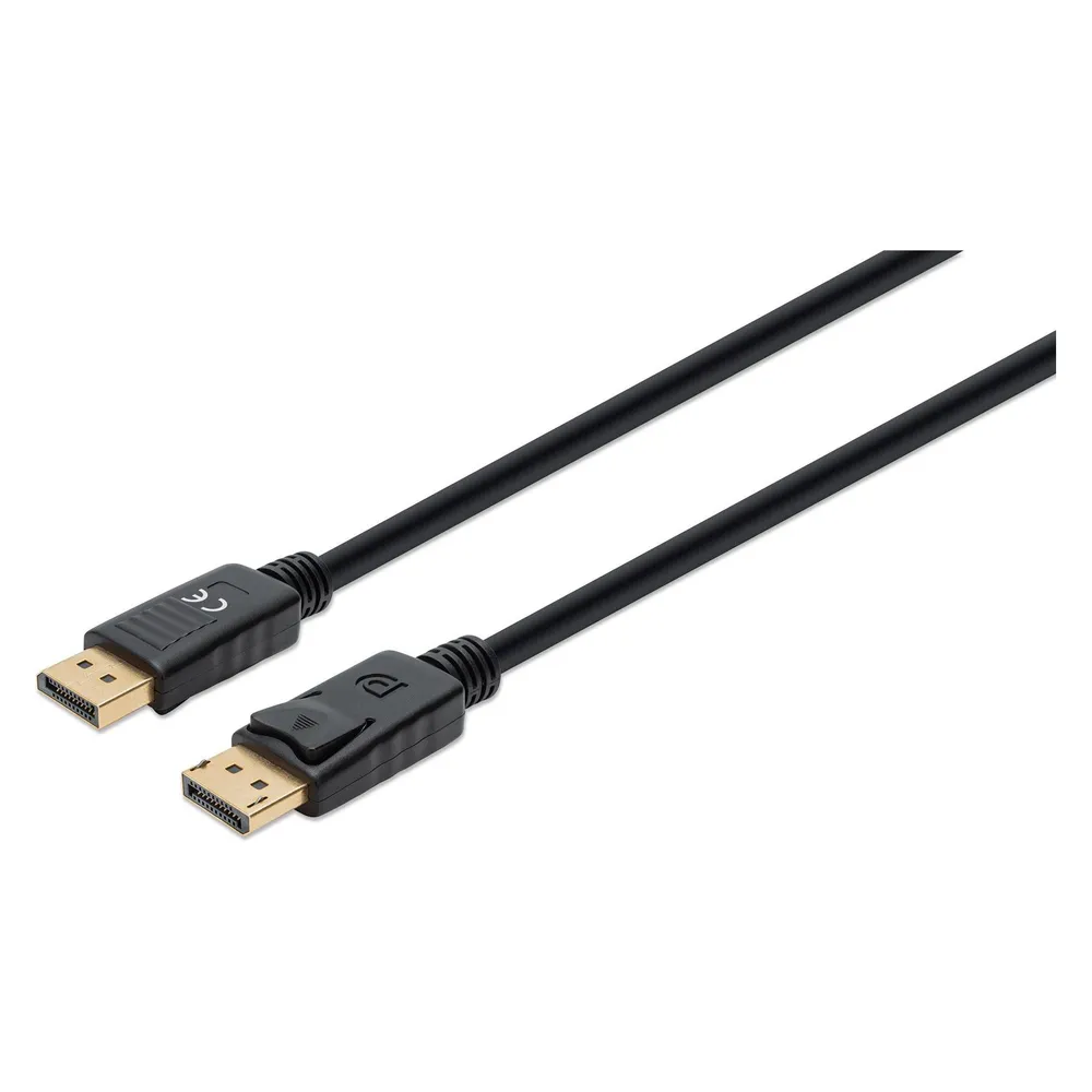 Manhattan DisplayPort – DisplayPort