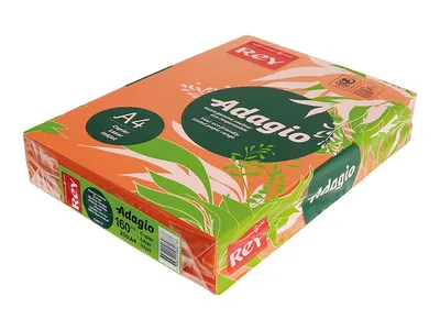 ADAGIO Kopierpapier A4, orange, 160 g/m²