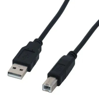 Kabel USB 2.0 A/B MCL 2 m Schwarz Stecker/Stecker