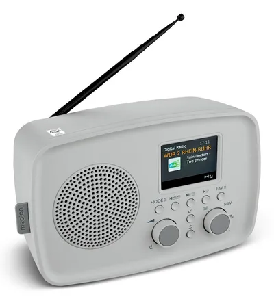 LIFE DAB+ Radio DRE-1 (MD89288) grau DAB+ Radio