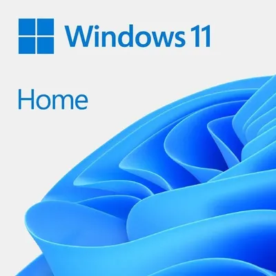 Microsoft Windows 11 Home Permanentlizenz FPP Digitaler Download