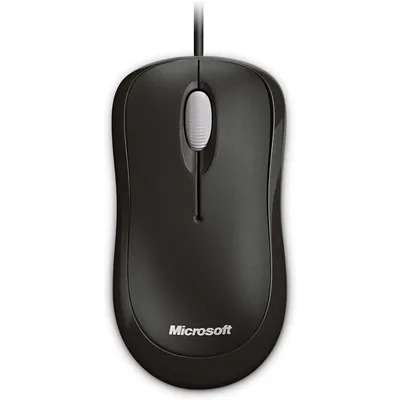 Microsoft P58-00057 Maus Büro USB Typ-A Optisch 800 DPI