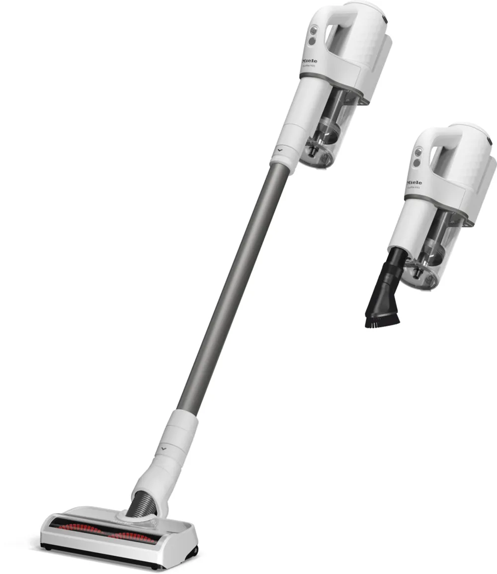 Duoflex HX1 Extra Akku Staubsauger